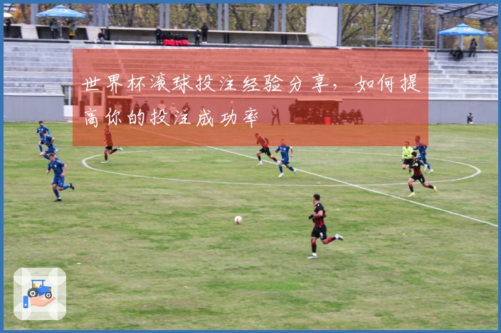 世界杯滚球投注经验分享，如何提高你的投注成功率