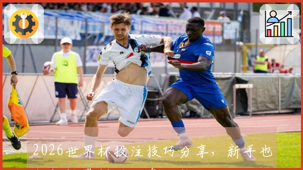 2026世界杯投注技巧分享，新手也能轻松掌握的几条经验