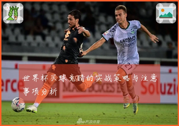 世界杯买球竞猜的实战策略与注意事项分析