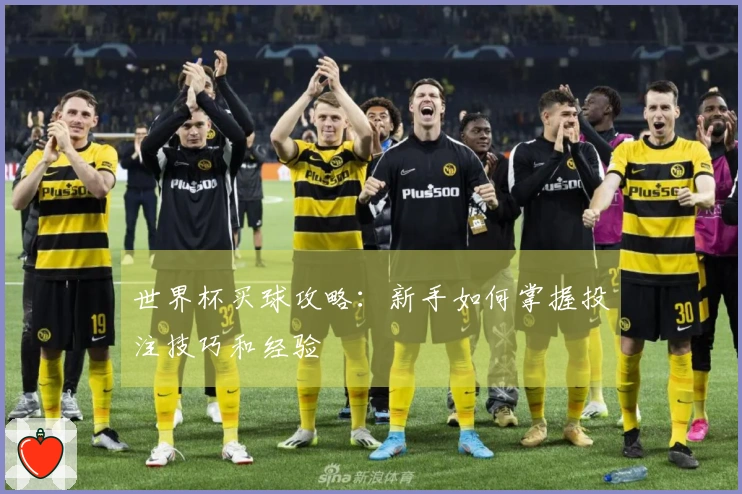世界杯买球攻略：新手如何掌握投注技巧和经验