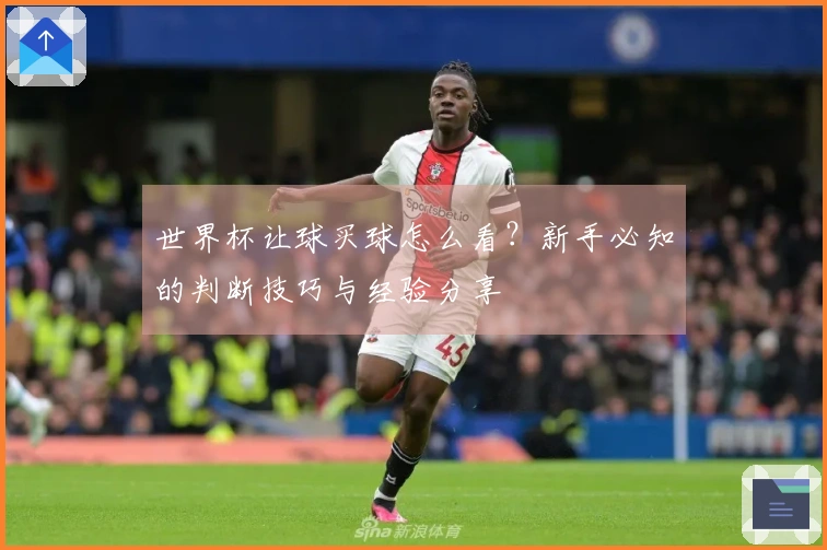 世界杯让球买球怎么看？新手必知的判断技巧与经验分享