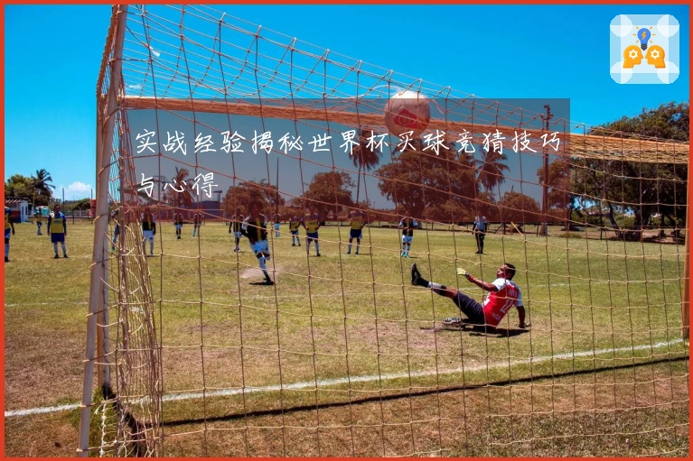 实战经验揭秘世界杯买球竞猜技巧与心得
