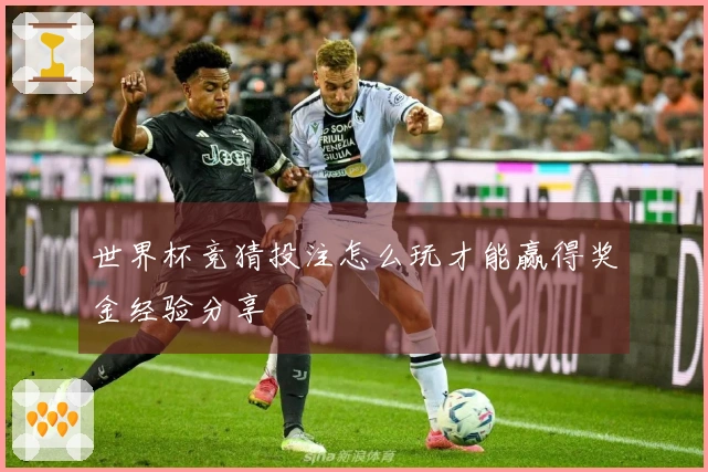 世界杯竞猜投注怎么玩才能赢得奖金经验分享