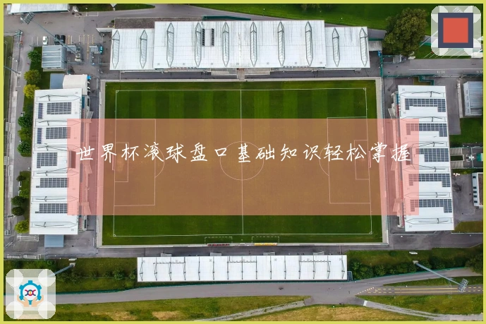 世界杯滚球盘口基础知识轻松掌握