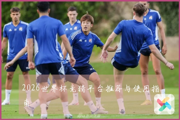 2026世界杯竞猜平台推荐与使用指南