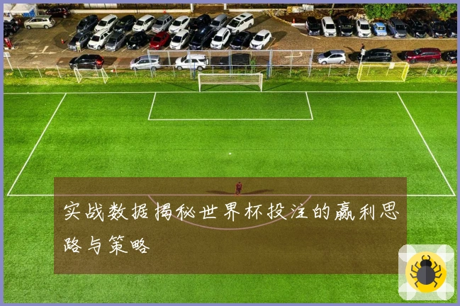 实战数据揭秘世界杯投注的赢利思路与策略