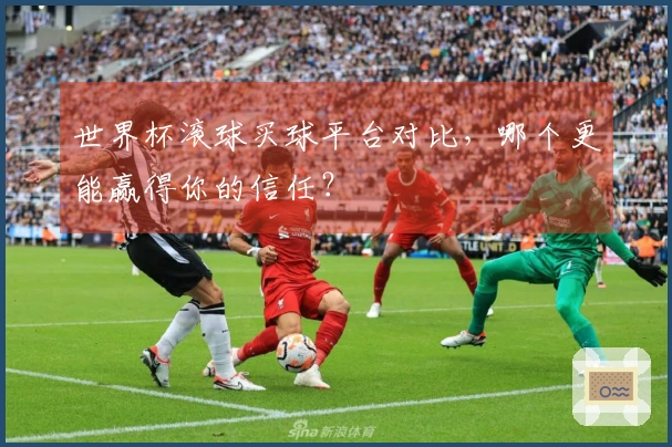 世界杯滚球买球平台对比，哪个更能赢得你的信任？