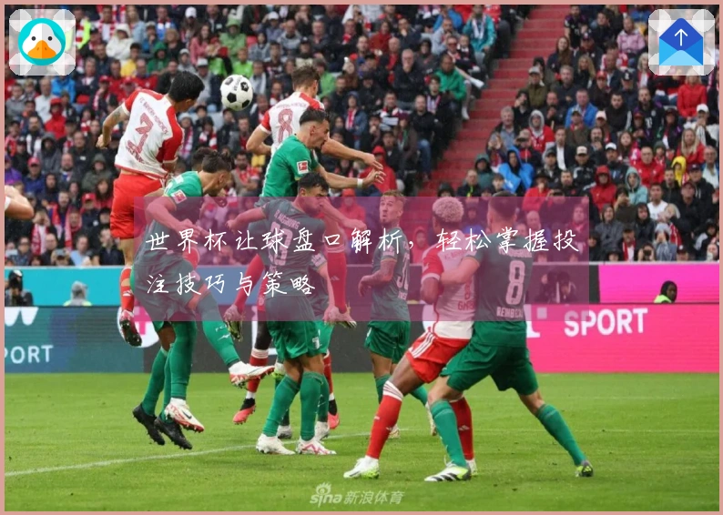 世界杯让球盘口解析，轻松掌握投注技巧与策略