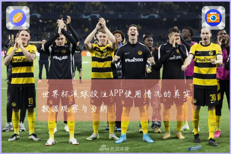 世界杯滚球投注APP使用情况的真实数据观察与分析