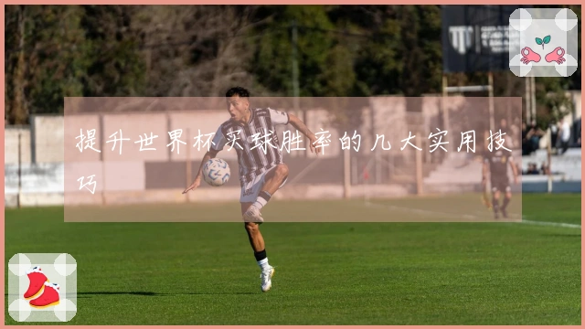 提升世界杯买球胜率的几大实用技巧