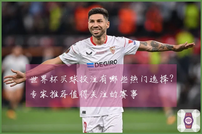 世界杯买球投注有哪些热门选择？专家推荐值得关注的赛事