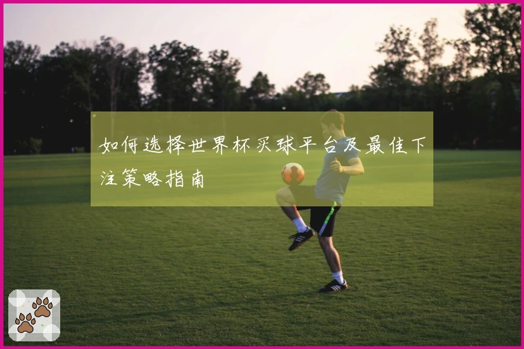 如何选择世界杯买球平台及最佳下注策略指南