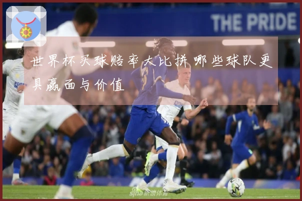世界杯买球赔率大比拼 哪些球队更具赢面与价值