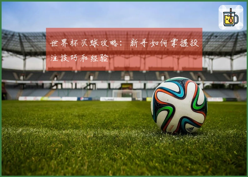 世界杯买球攻略：新手如何掌握投注技巧和经验