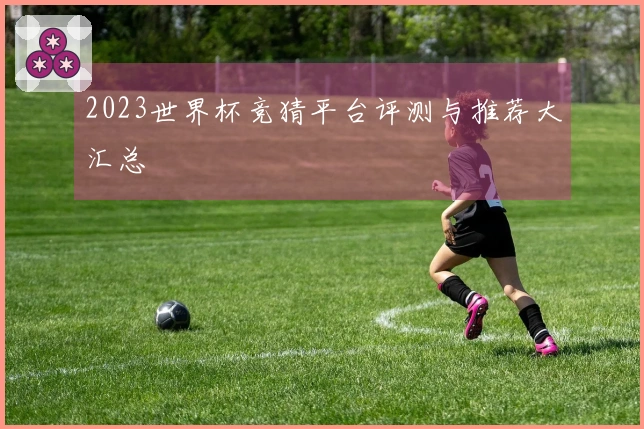 2023世界杯竞猜平台评测与推荐大汇总
