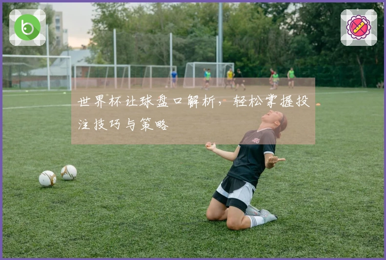 世界杯让球盘口解析，轻松掌握投注技巧与策略