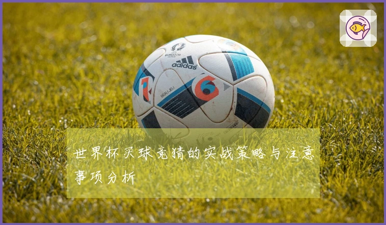 世界杯买球竞猜的实战策略与注意事项分析