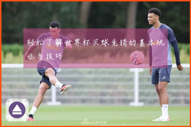 轻松了解世界杯买球竞猜的基本玩法与技巧