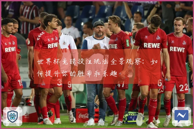 世界杯竞猜投注玩法全景观察：如何提升你的胜率和乐趣