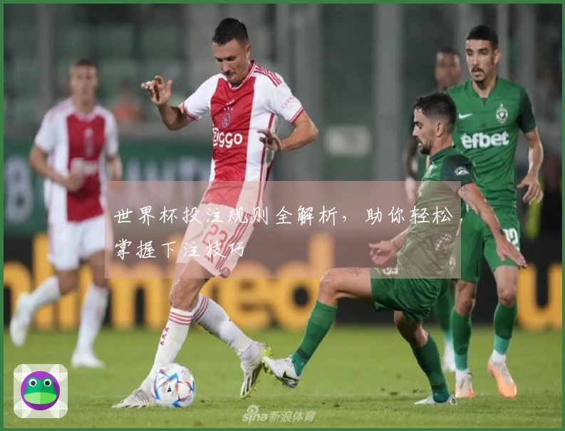 世界杯投注规则全解析,助你轻松掌握下注技巧