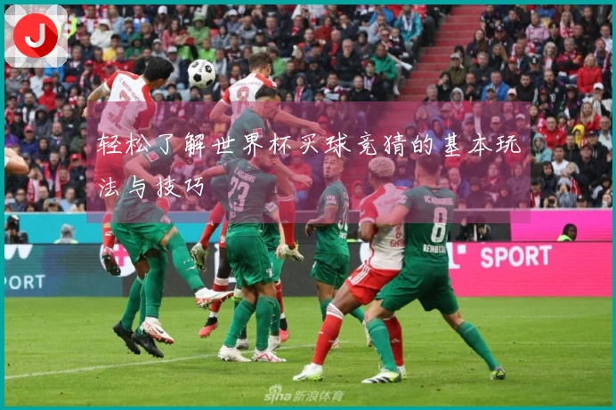 轻松了解世界杯买球竞猜的基本玩法与技巧