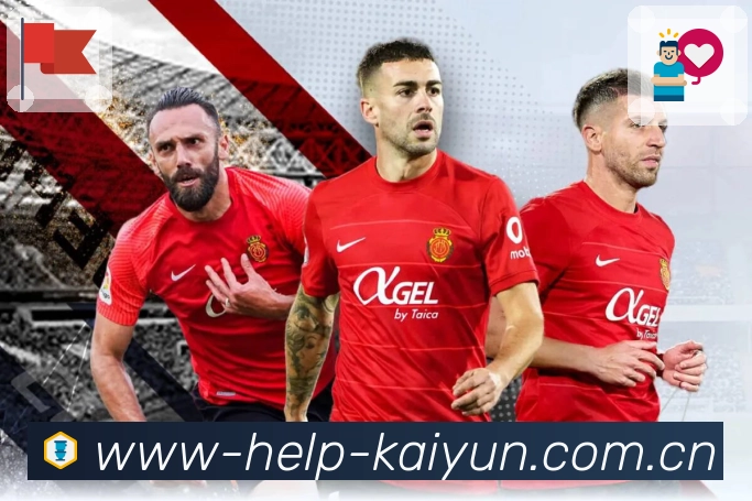 <strong>开云App</strong>界面展示